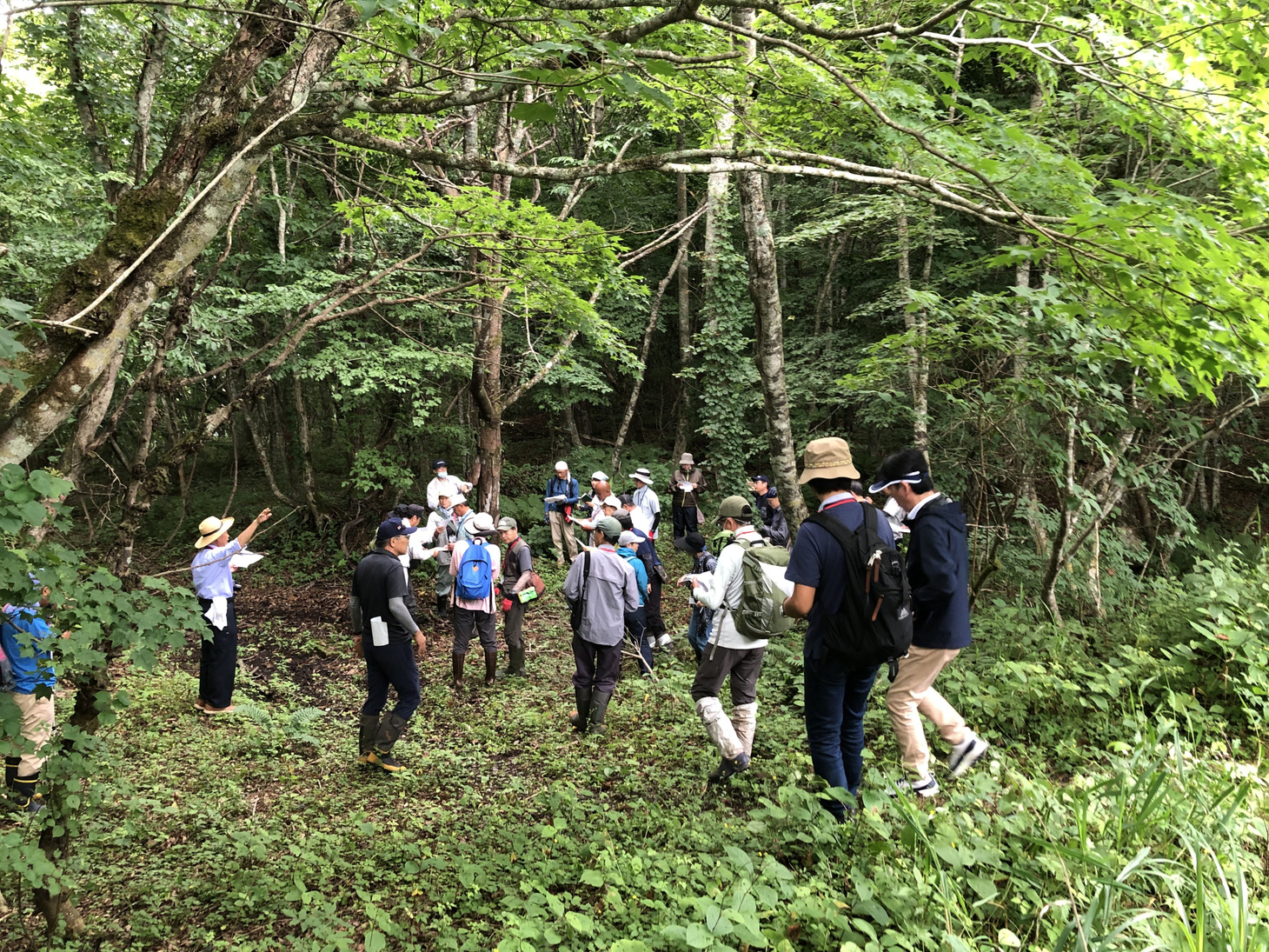 京津畑・まぶちの森
