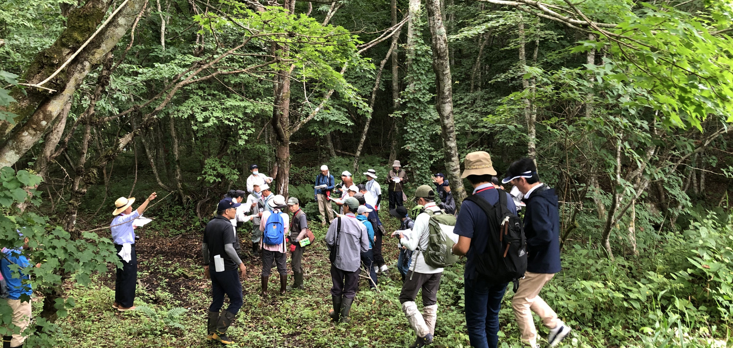 京津畑・まぶちの森